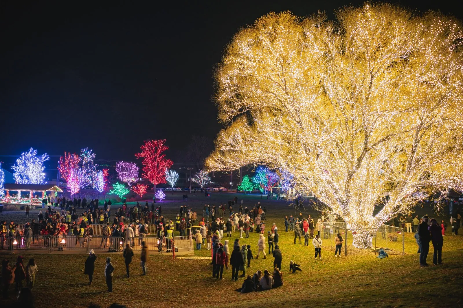 Commercial Holiday Lighting